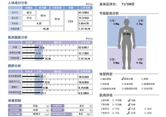 报告展示