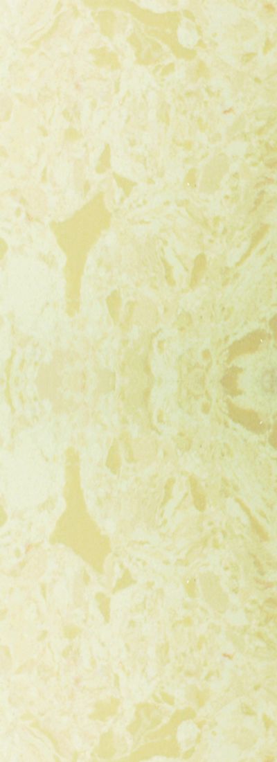 图表106：2019-2025年中国橱柜行业前五地区销售收入比例标准差占比情况（单位：%）