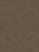 申请日期为2024年12月