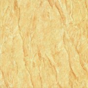 将和俄罗斯、巴基斯坦、埃及、希腊、西班牙、