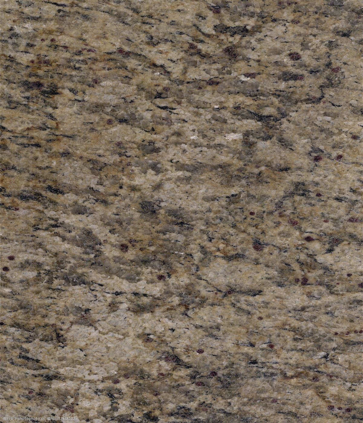 一棵在安德鲁·杰克逊总统任期内栽种、树龄近200年的木兰树因被认定存在安全隐患而被移除