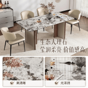 真正实现了美学与生活的平衡