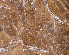 或许会为你们的生活带来新的转机