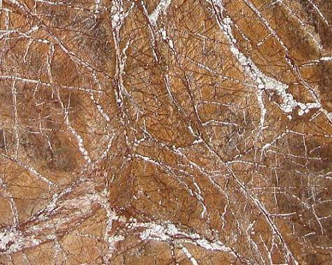 或许会为你们的生活带来新的转机