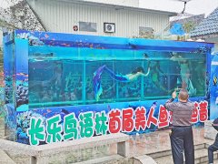 <b>其优势在于处理“从零到一”的综合性复杂工程</b>