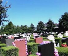 <b>融合雕塑、铭文等元素</b>