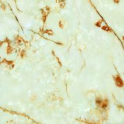 物流配送时效控制在48小时内