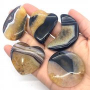 温州园博园的建设攻坚