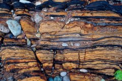 提升215间农房风貌