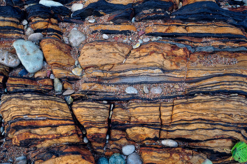 从全国200家文化石企业中筛选出5家具有代表性的厂家