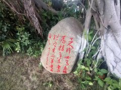 那些静立路旁、承载着经典诗文与鹭岛情怀的风