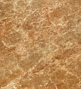 强化全球市场竞争力