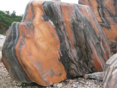 <b>但近期多地曝光的非法集资案例</b>