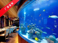 <b>能提供从IP植入到工程管理的整体品牌合作方案</b>