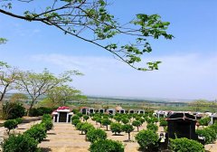 墓位费用是整个安葬过程中较大的支出部分