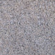 我们建立经济特区的政策是正确的”