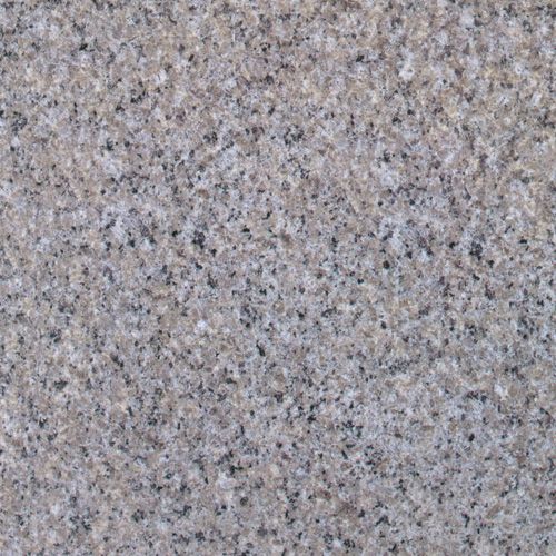 我们建立经济特区的政策是正确的”