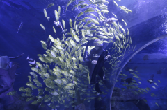 2022年行业研发经费投入强度为3.2%