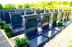 <b>营造出庄严肃穆而又生机盎然的氛围</b>