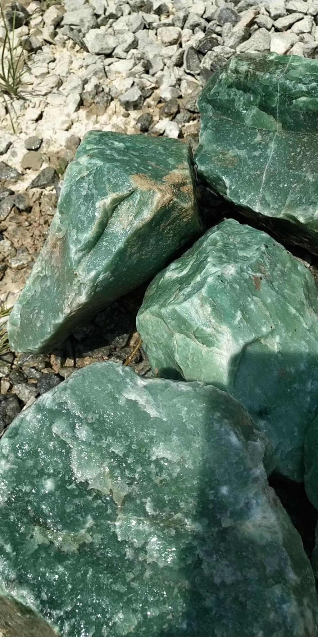 不仅创造了大量就业机会