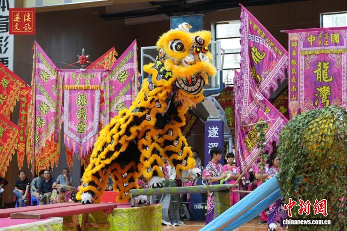 2025广东省龙狮锦标赛遂溪激情上演