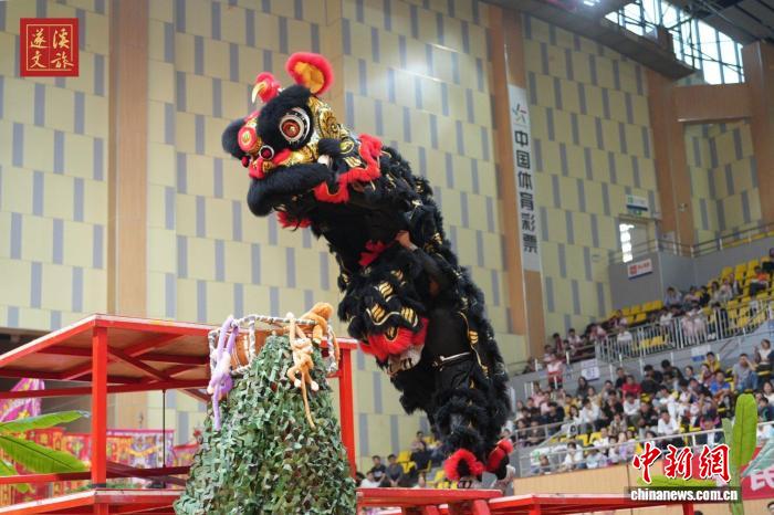 2025广东省龙狮锦标赛遂溪激情上演